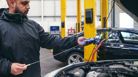Car Fluid Check