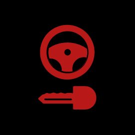 Steering Lock