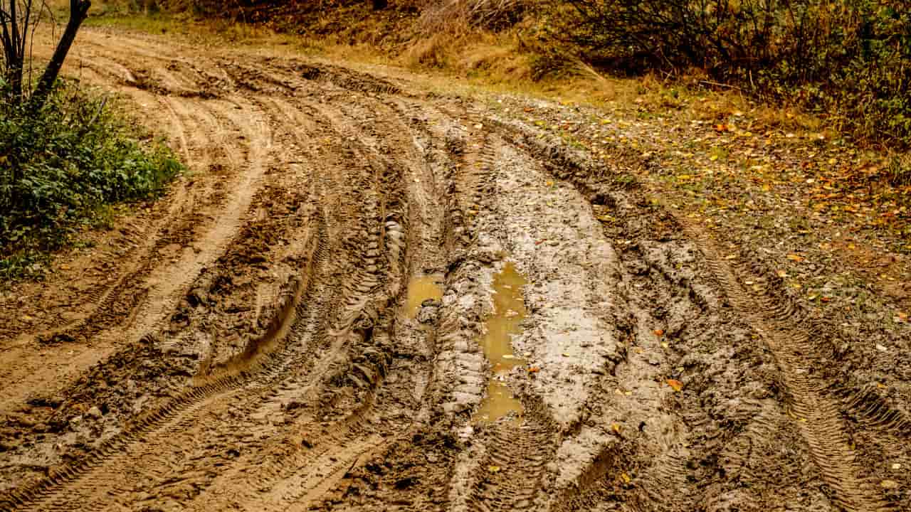 Muddy Path