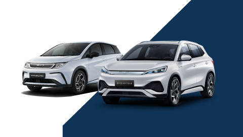 BYD Pair