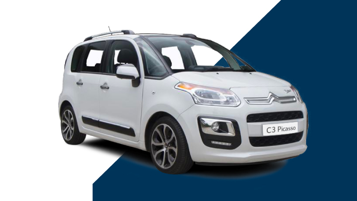 C3 Picasso Large