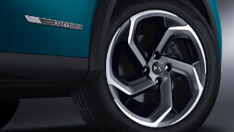 Wheel arch of DS