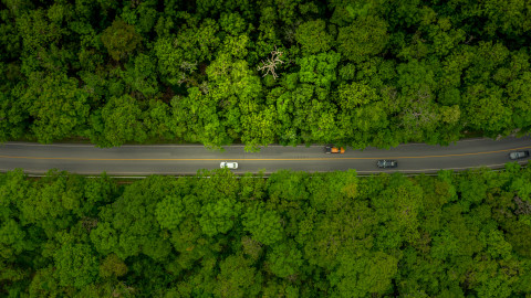 Forest Road