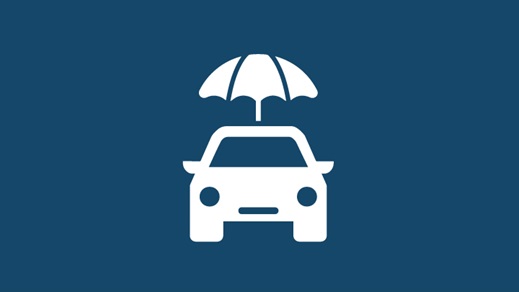 Vehicle Insurance
