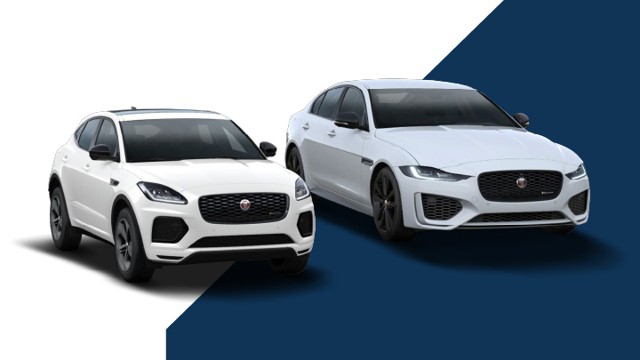 Jaguar Family